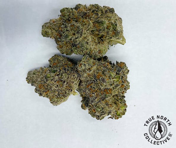 Product: Guava | True North Collective