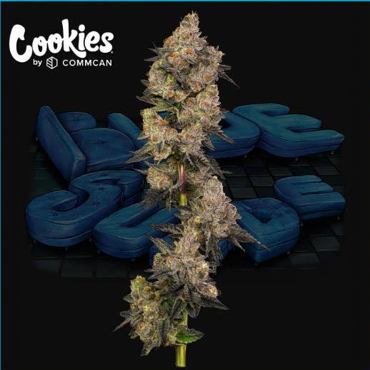 Cookies Blue Suede