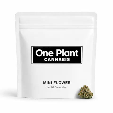 Sour Diesel Mini Buds