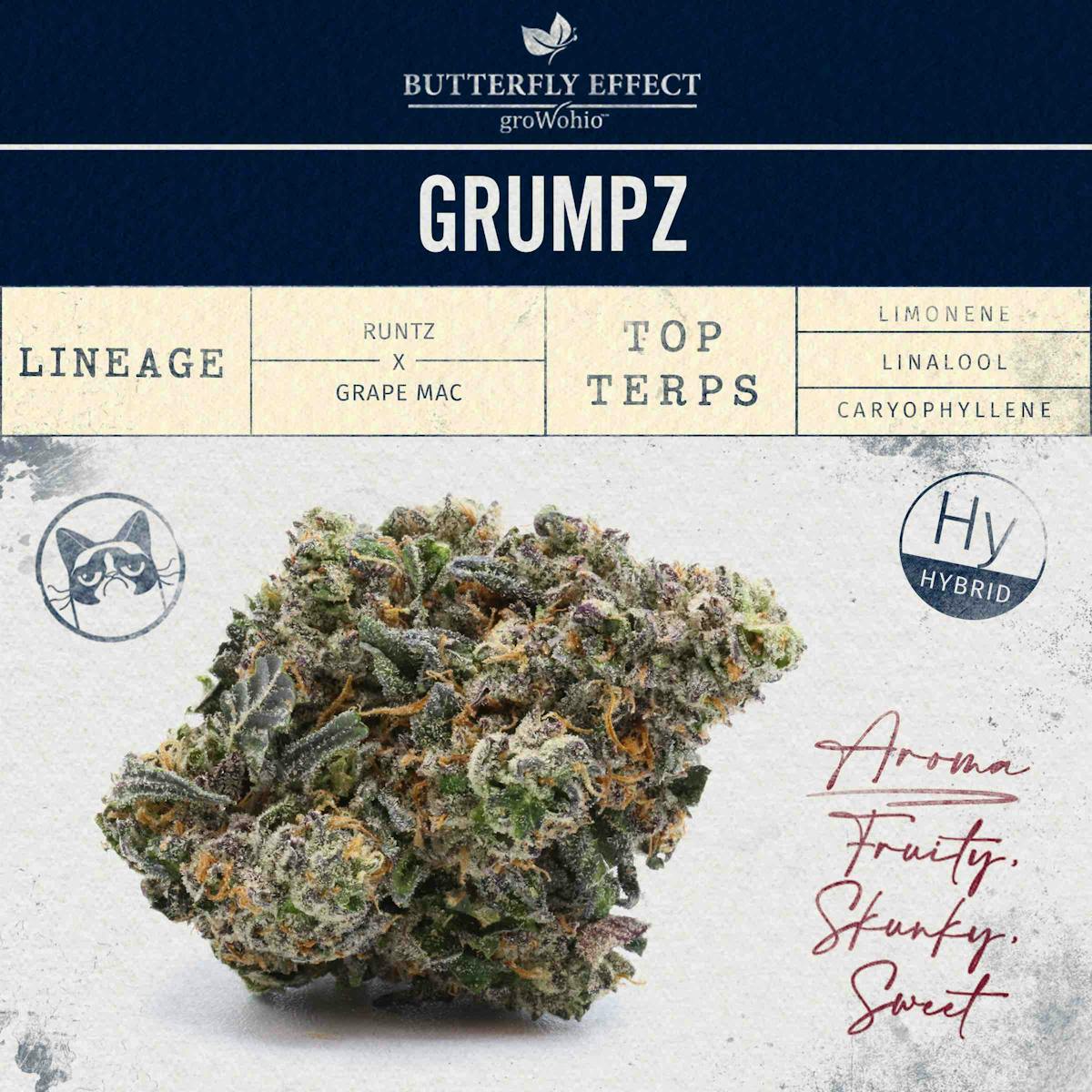 Photo of GRMPZ