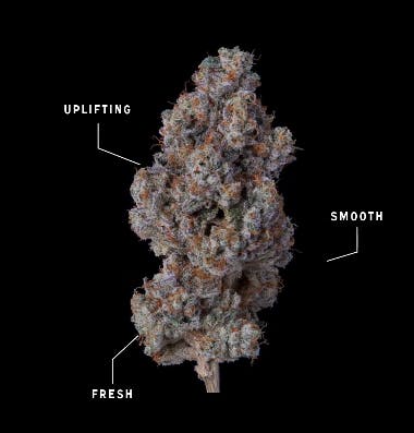 Khalifa Mints Flower 3.5g-1