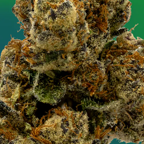 Deli Style | Zeclair – Indica-3