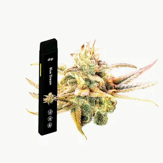 Drip - Durban Poison Disposable