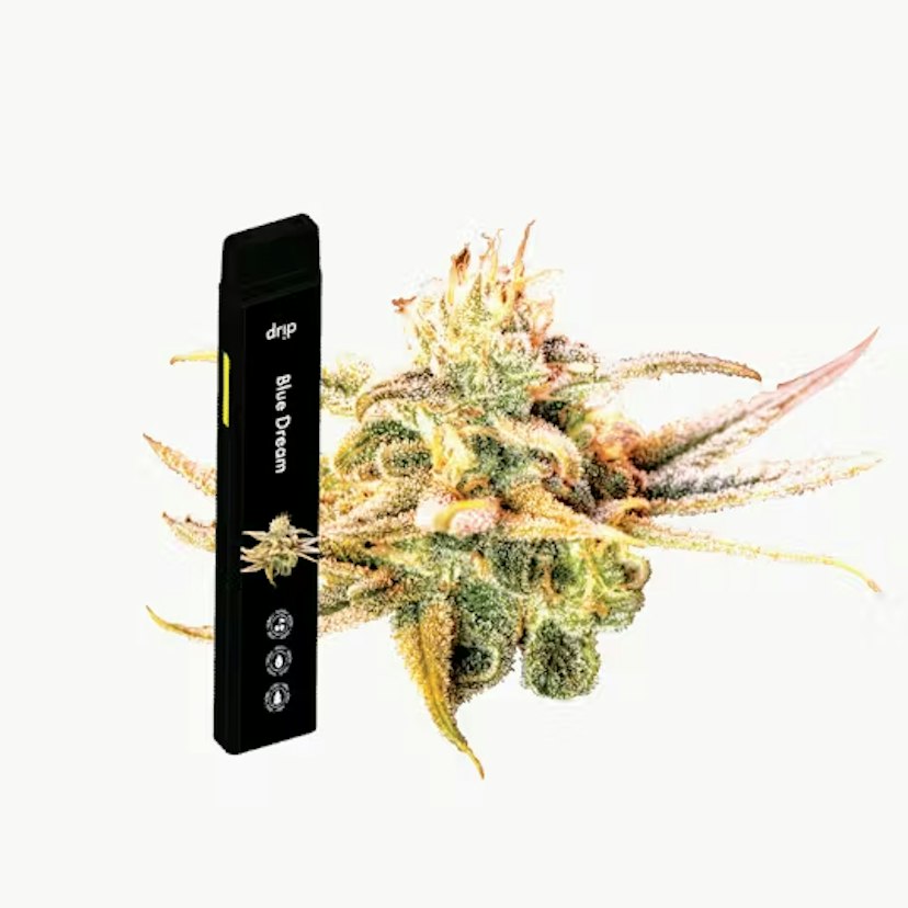 Drip - Durban Poison Disposable