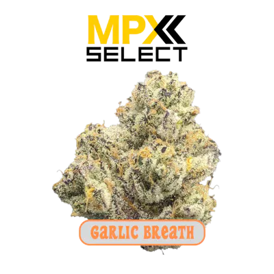 果物 PXG72 Oreoz Flower | GrowHealthy