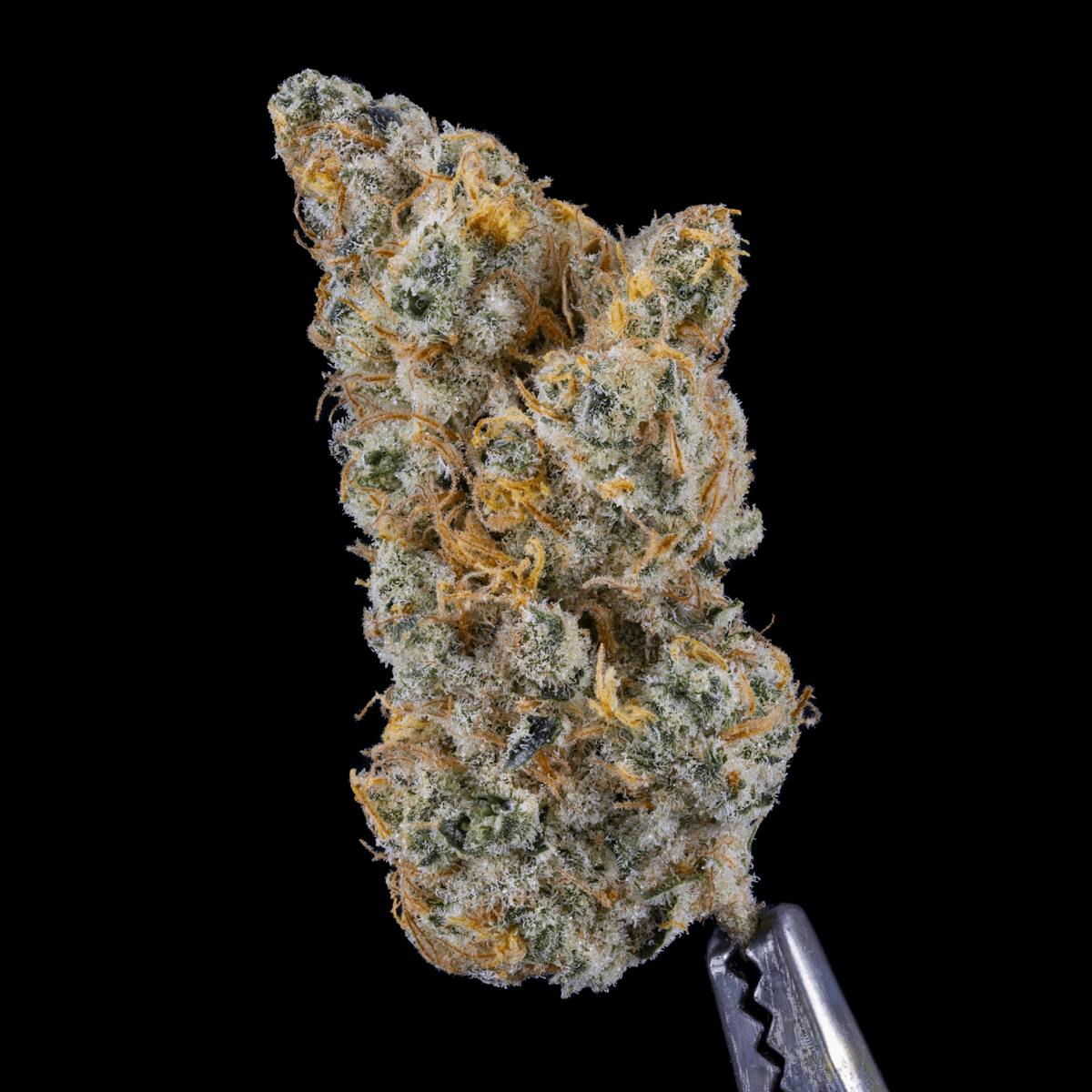 Image of Headband Cookies House Flower