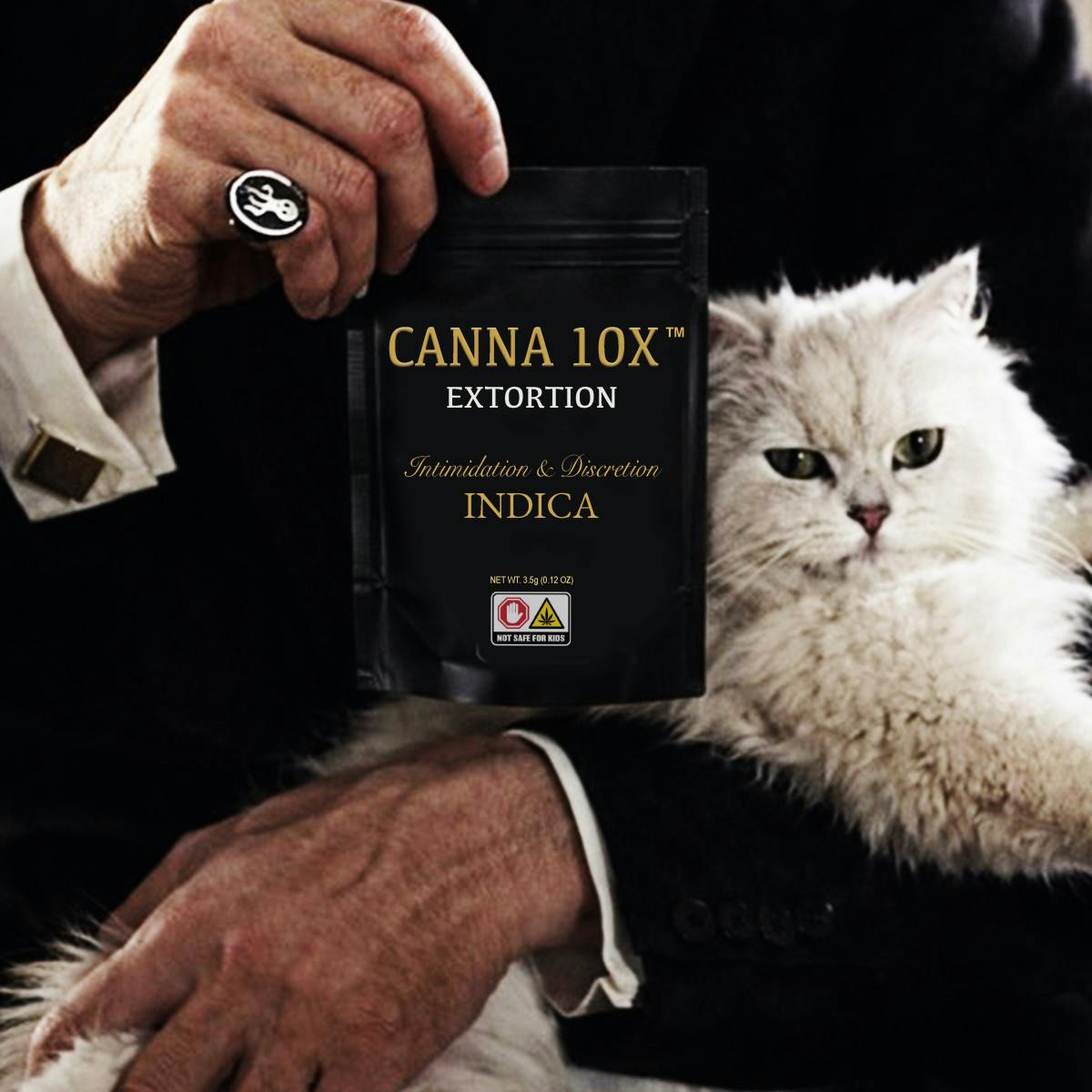 Canna 10x
