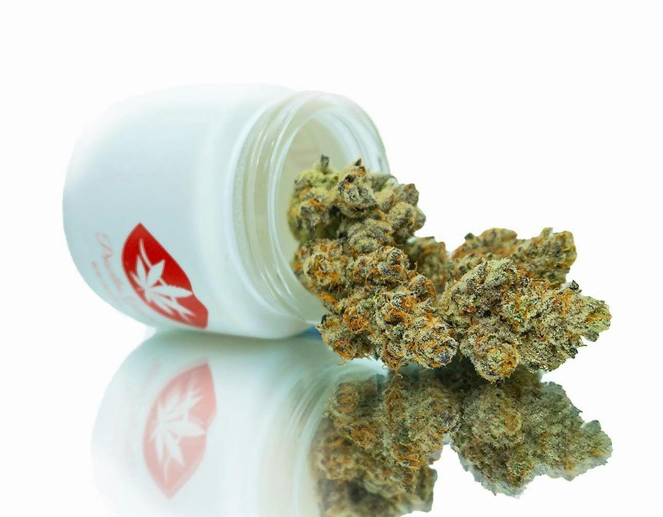 The Flowery - Upper West Side - Cannabis Dispensary, New