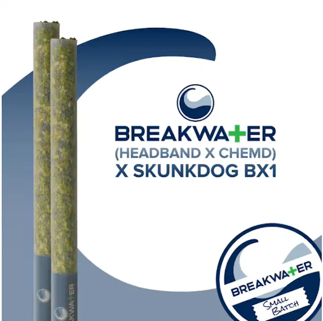 Breakwater Pre-Roll Pack (HeadbandxChemD) x Skunkdog BX1 2pk/1g (hybrid, packs)