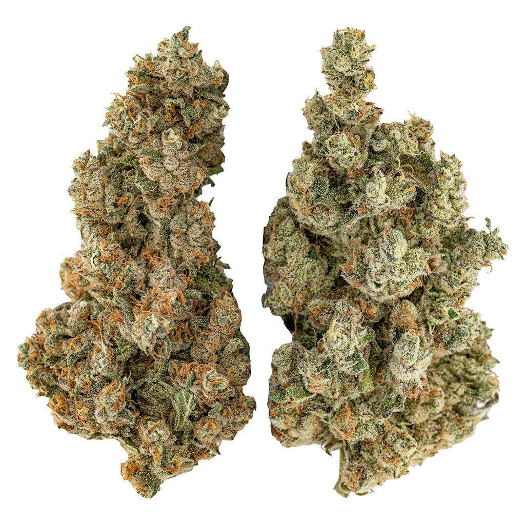 CANNABIS×Barbudos×yasuhide ono3点セット CANNABIS×Barbudos×yasuhide ono3点セット CANNABIS×Barbudos