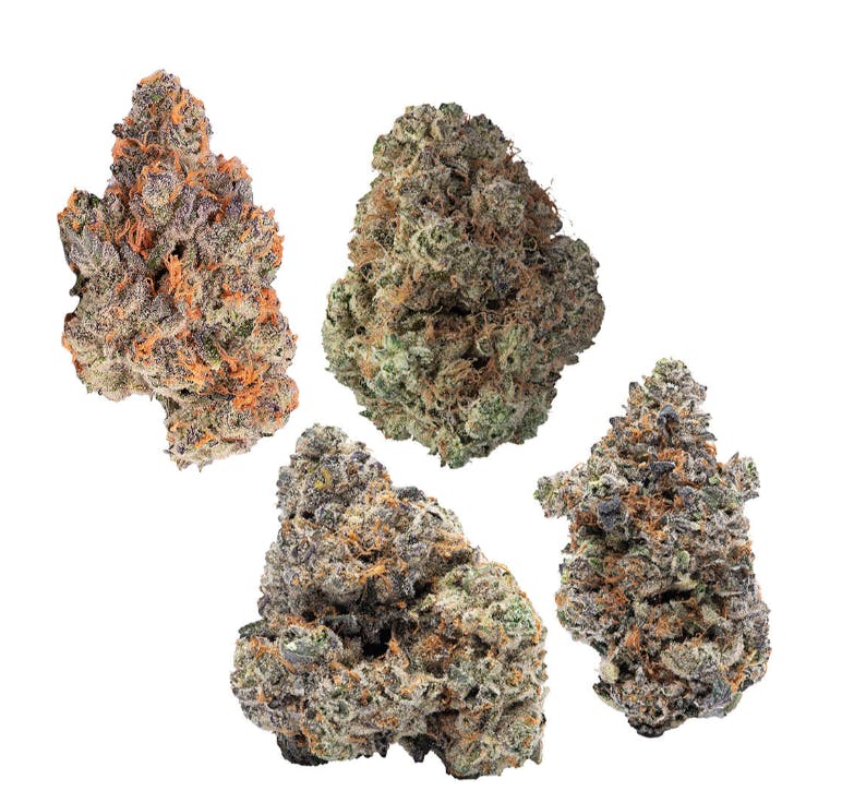 Stash & Co - Oshawa