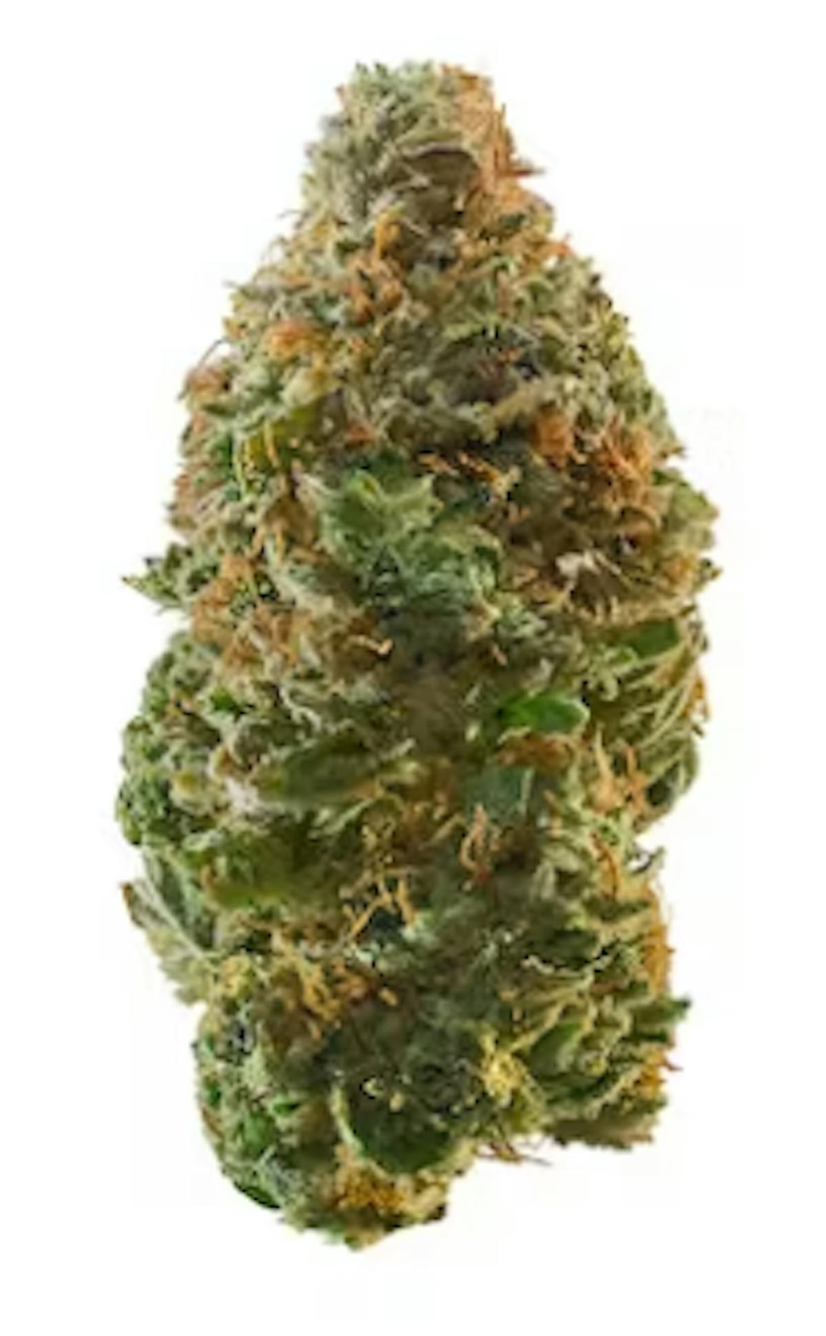 Image of Pamplemousse | 7g House Flower