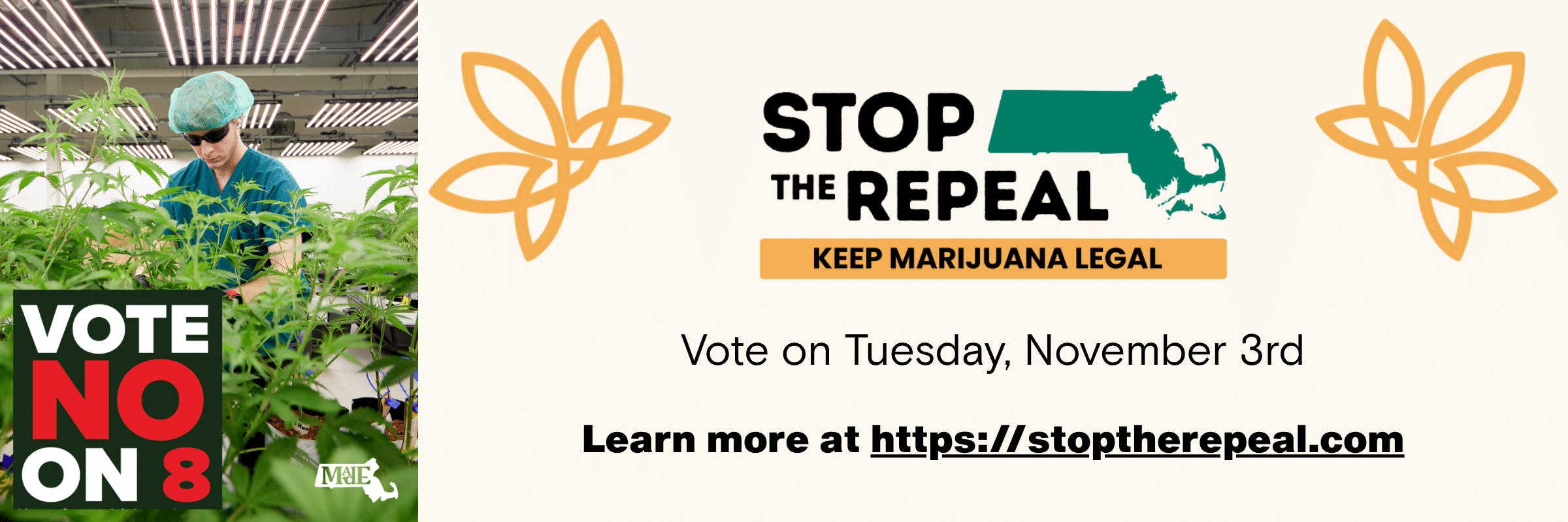 Keep Cannabis Legal in Massachusetts