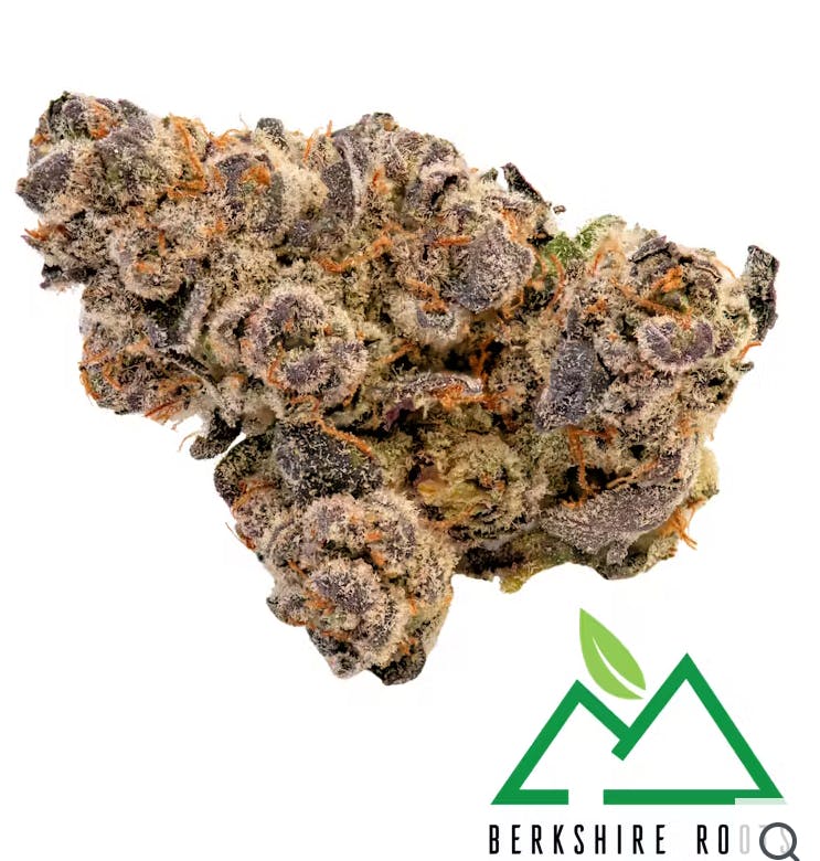 Product Berkshire Roots | Gorilla Nior | Flower