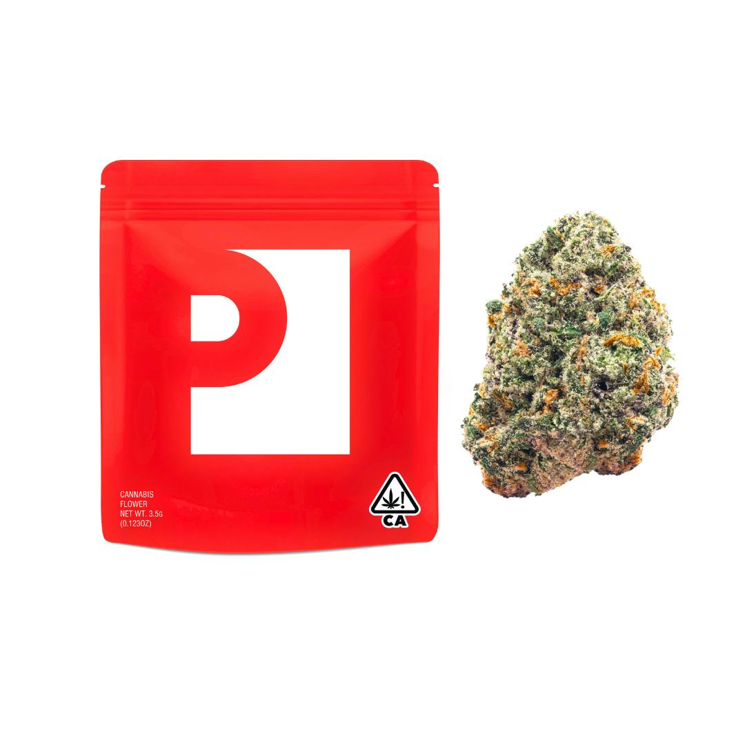 NIGHT POP