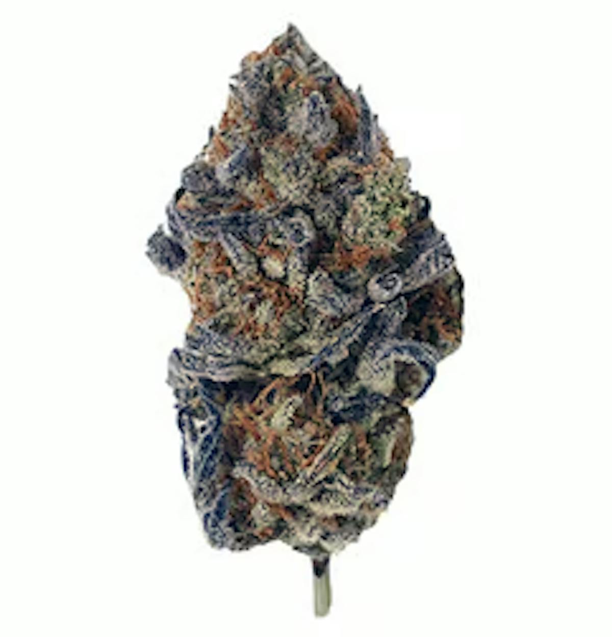 Photo of Silver Shelf – Apple Runtz (H)