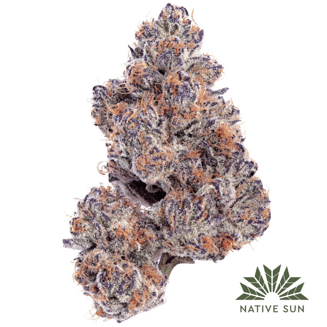 Native Sun Ice Cream Cake | Flower | 3.5g - Native Sun Cannabis