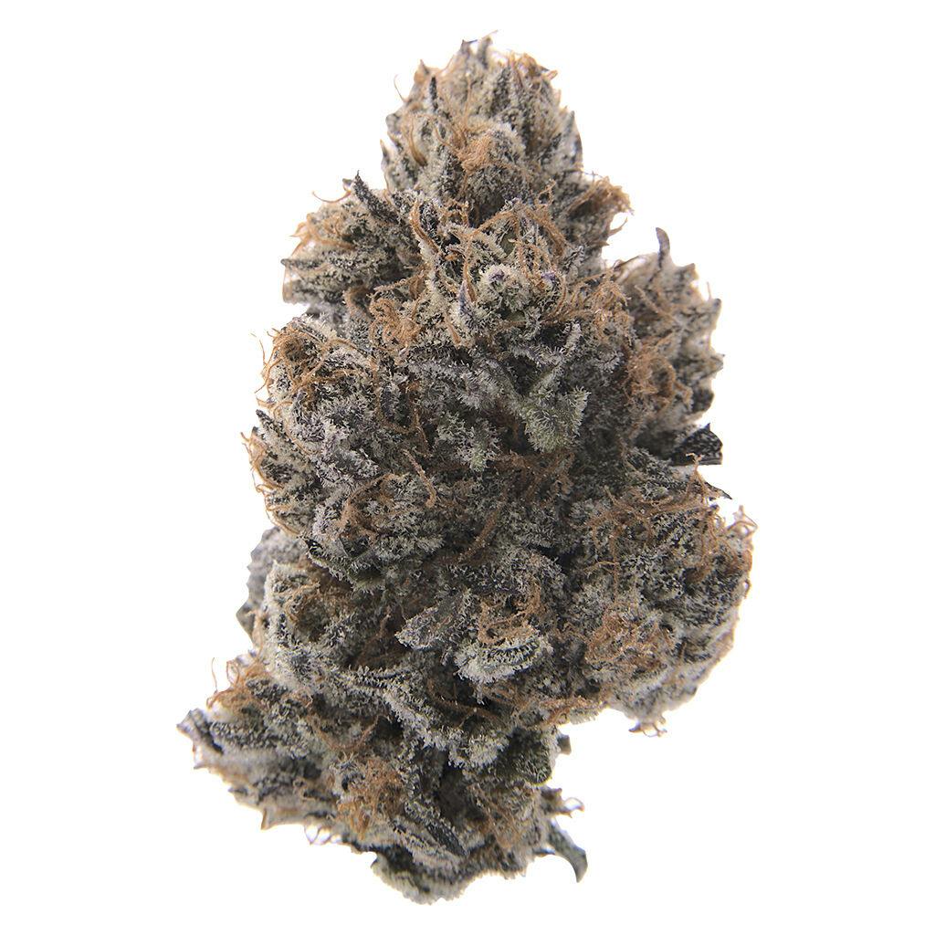 Pistol and Paris - Gas and Roses Dried Flower | 7g | Buzzed Buds 