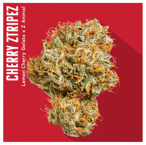 Cannabis Dispensary in Salem, MA | Open Daily