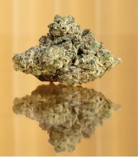 Product: Green Sprout Labs | Bulk Bud - Drip