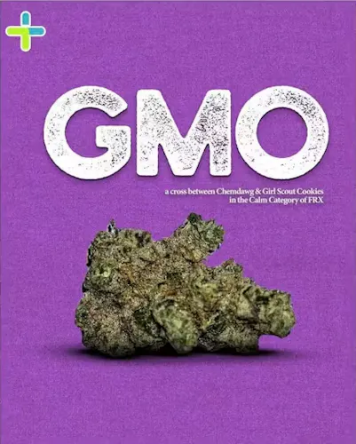 GMO | Minis | 5.66g-active