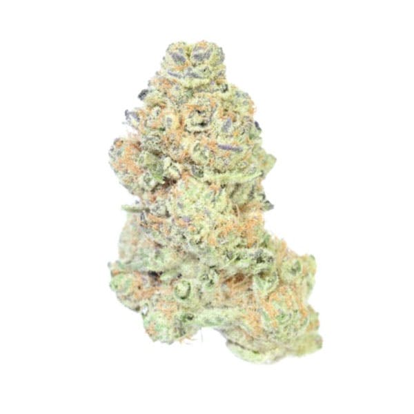 BHL ENTERPRISES BHL ENTERPRISES | WHITE FROST | BULK | HYBRID — FLOWER