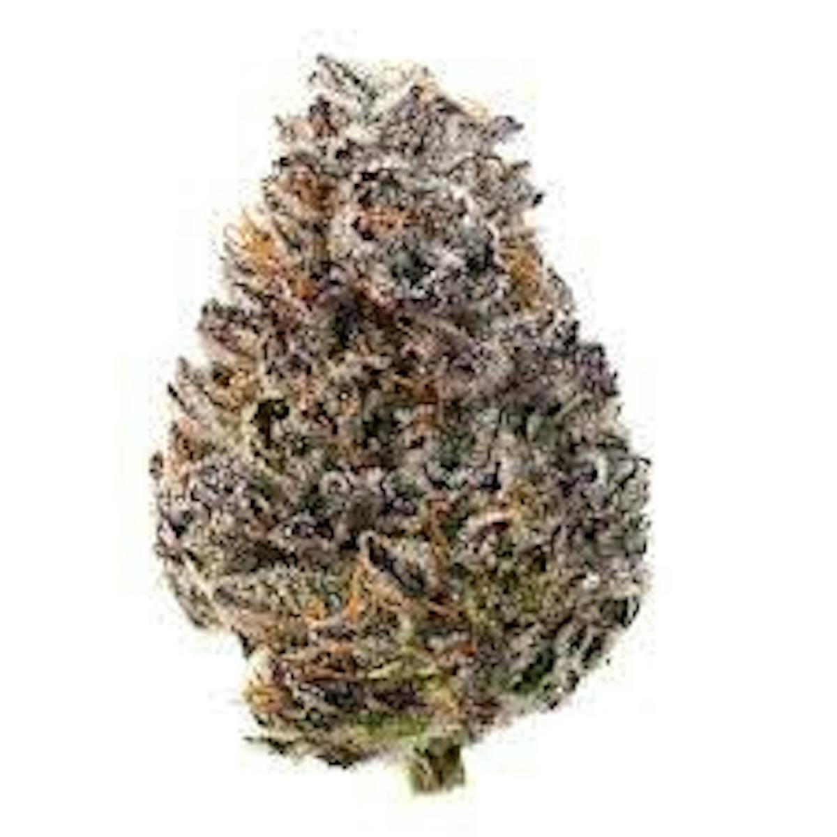 Image of GMO Sour Dubb