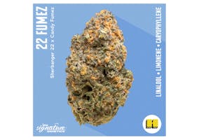 Super Lemon Haze 2 - INSA MA Dispensary Super Lemon Haze 2 - INSA MA Dispensary