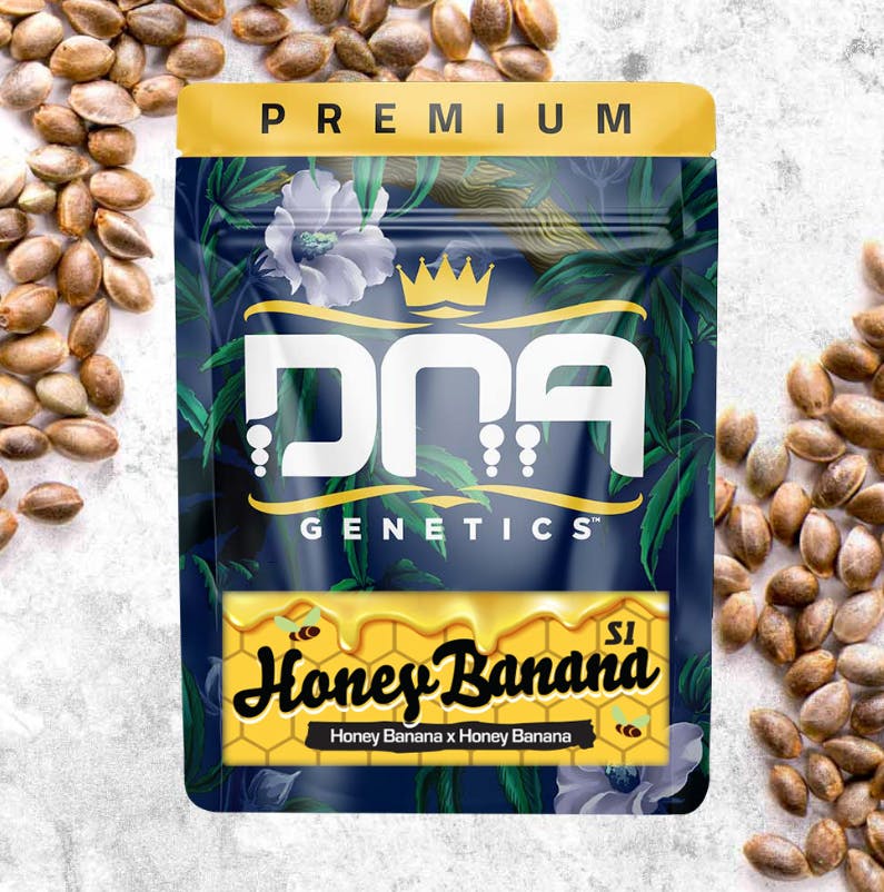Product RB2 DNA Flower - Honey Banana s1 3.5g