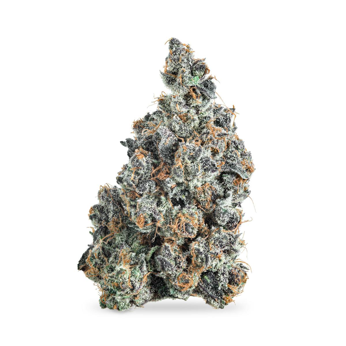 Photo of Animal Face B Buds