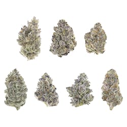Flower | The Karma Cup - Indica Dominant Judges Kit