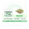 Pure Ohio Wellness: Gelato - 2.83g