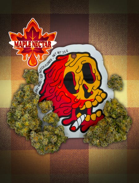 Maple Nectar | Plant Nerd