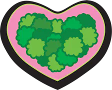 Flower category image