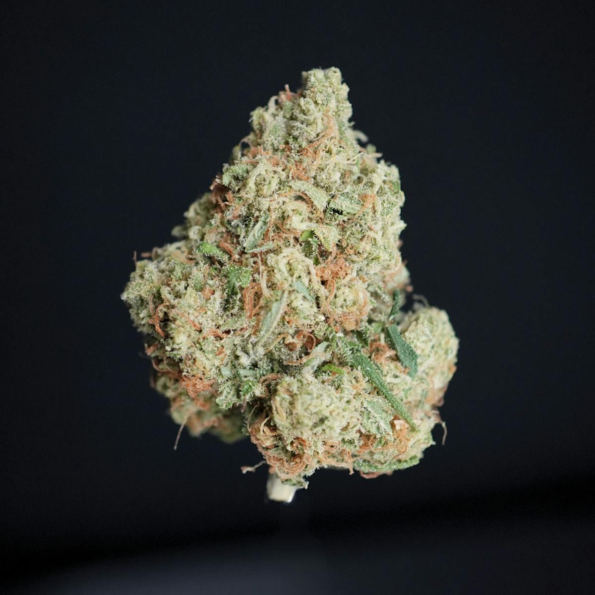 Photo of Burberriez 3.5g Flower Bountiful Farms