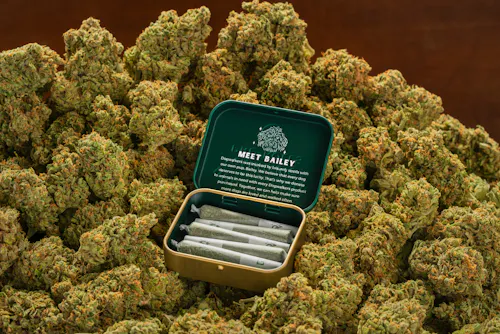 Dulce De Uva x Sherbanger (Sit) 5 Pack-2