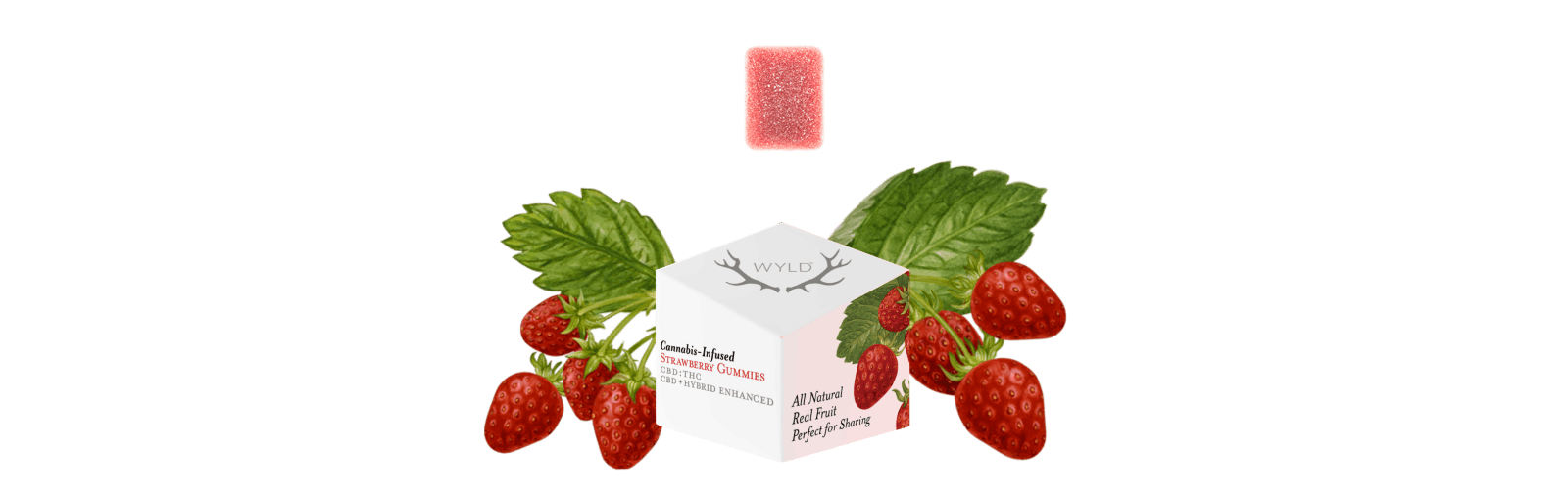 Wyld | 20 CBD: 1 THC Strawberry Hybrid Gummies
