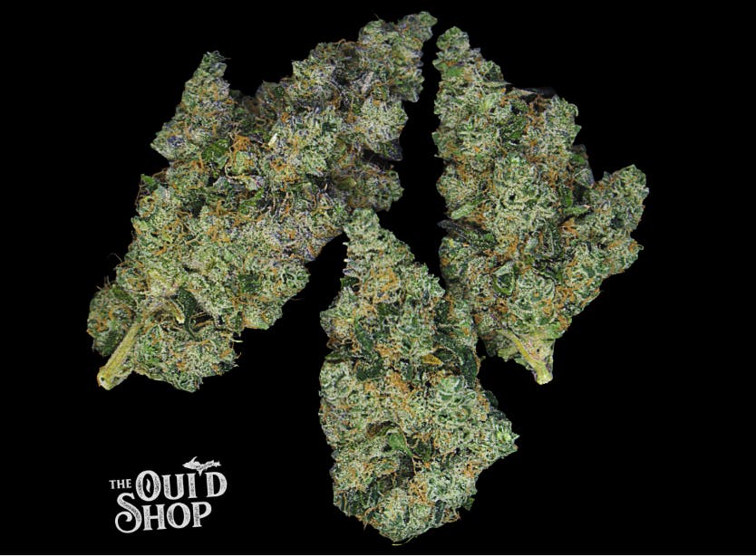 Product: Green Sprout Labs | Bulk Bud - Slow n' Sweet