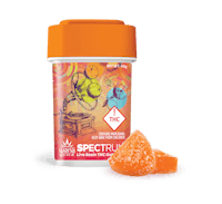 Product Citrus Sorbet | Live Rosin Gummies 20pk