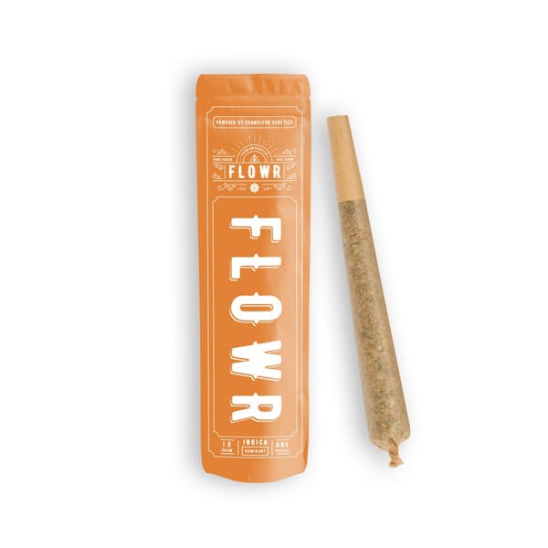 Product List Page Bloom Brothers