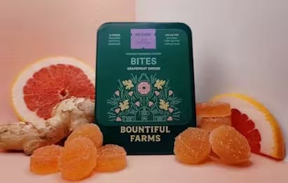 Photo of Grapefruit Ginger Bites 500mg Bountiful Farms