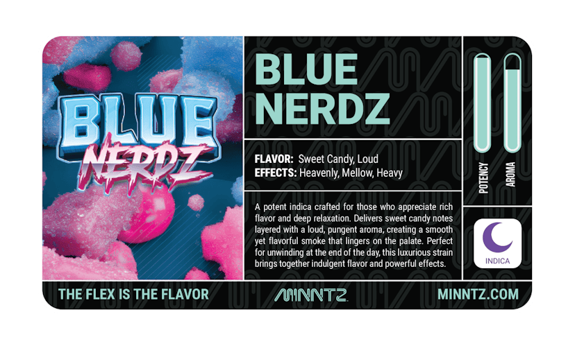 Minntz | Blue Nerdz
