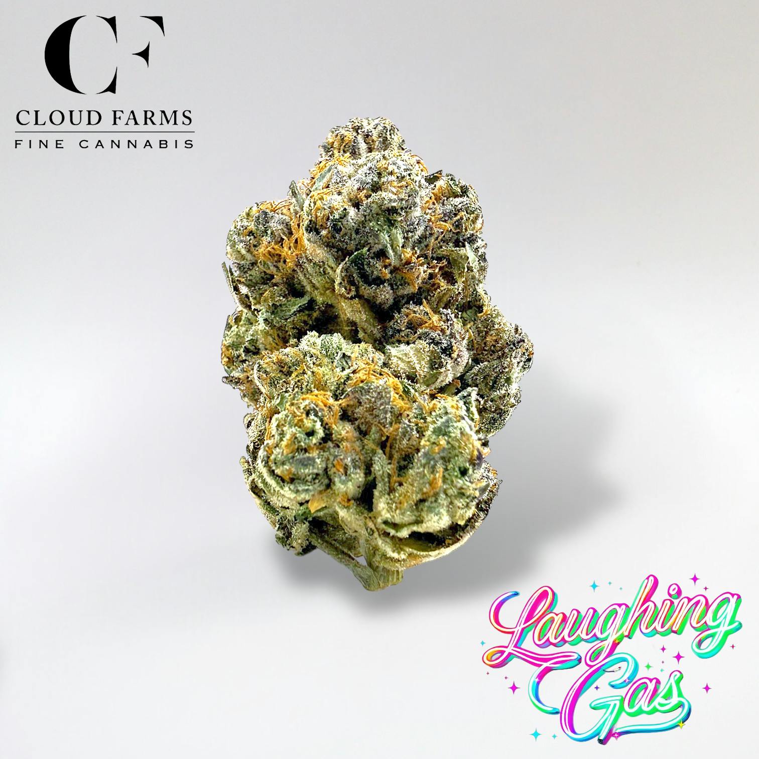 Cloud Farms | Bulk Bud - Laughing Gas