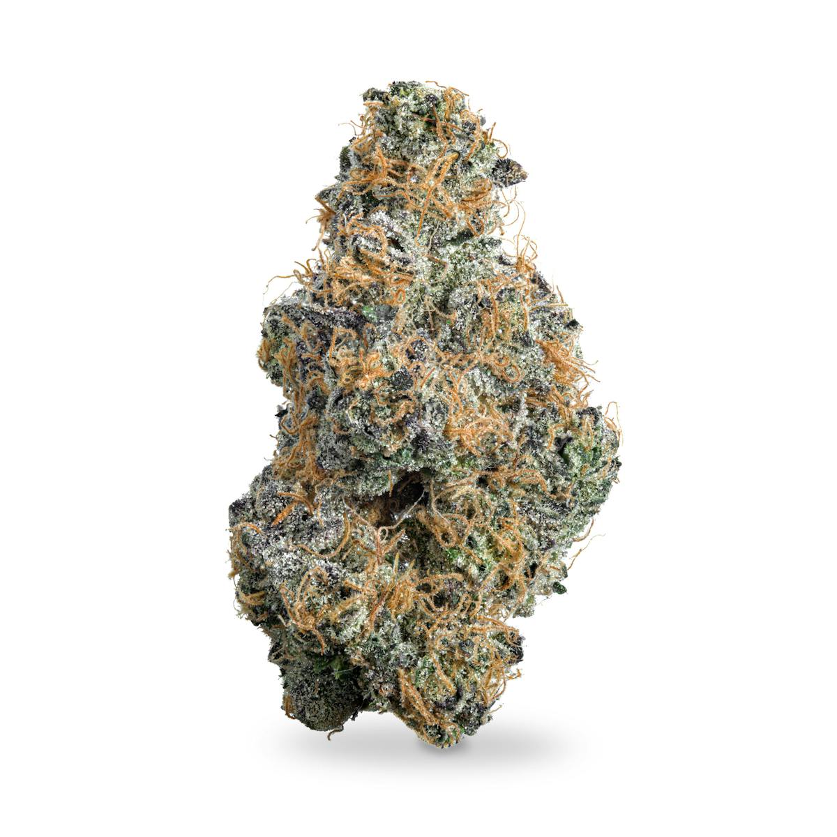 Photo of Black Maple