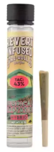 Tropical Temptation .7g Infused-1