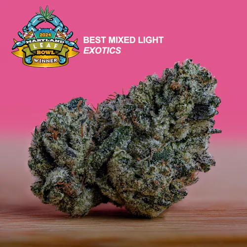 Cherry Limeade Cake Flower | 3.5g-5