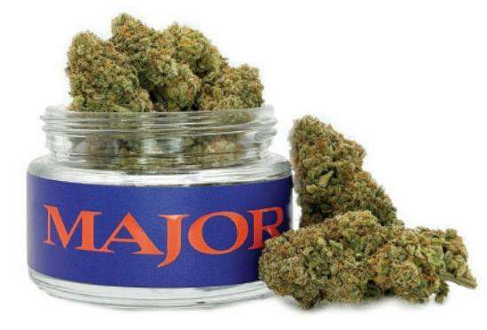 The One | Flower | 3.5g by Major | Buy Online | Treehouse Cannabis