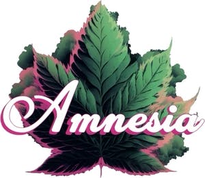 Amnesia - 200mg Zerds Hash Rosin Gummies - Tropi Mix