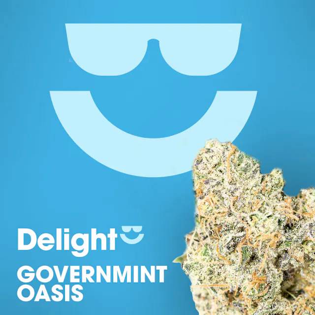 Delight Flower Governmint Oasis 3.5g (hybrid, whole flower)