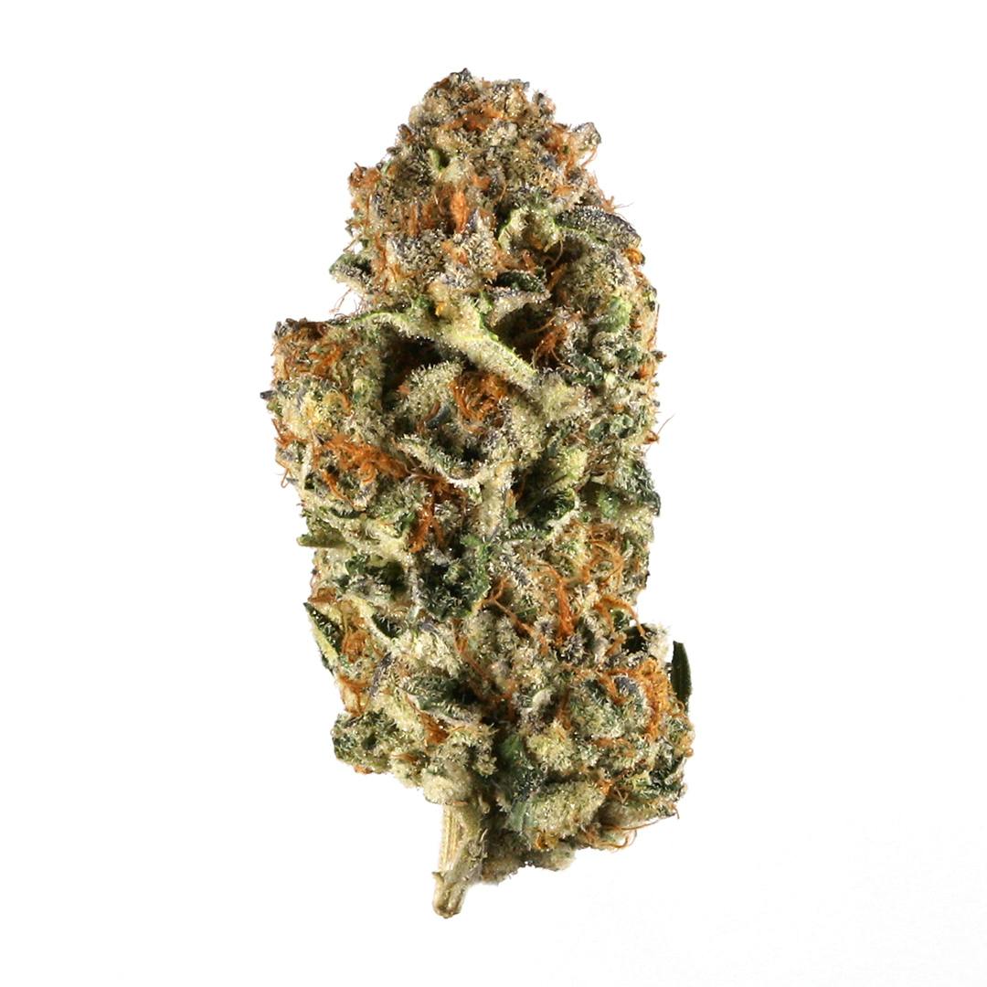 DISTRO 10 GATSBY CANNABIS CO | GUNPOWER | PRE-PACK INDICA — FLOWER